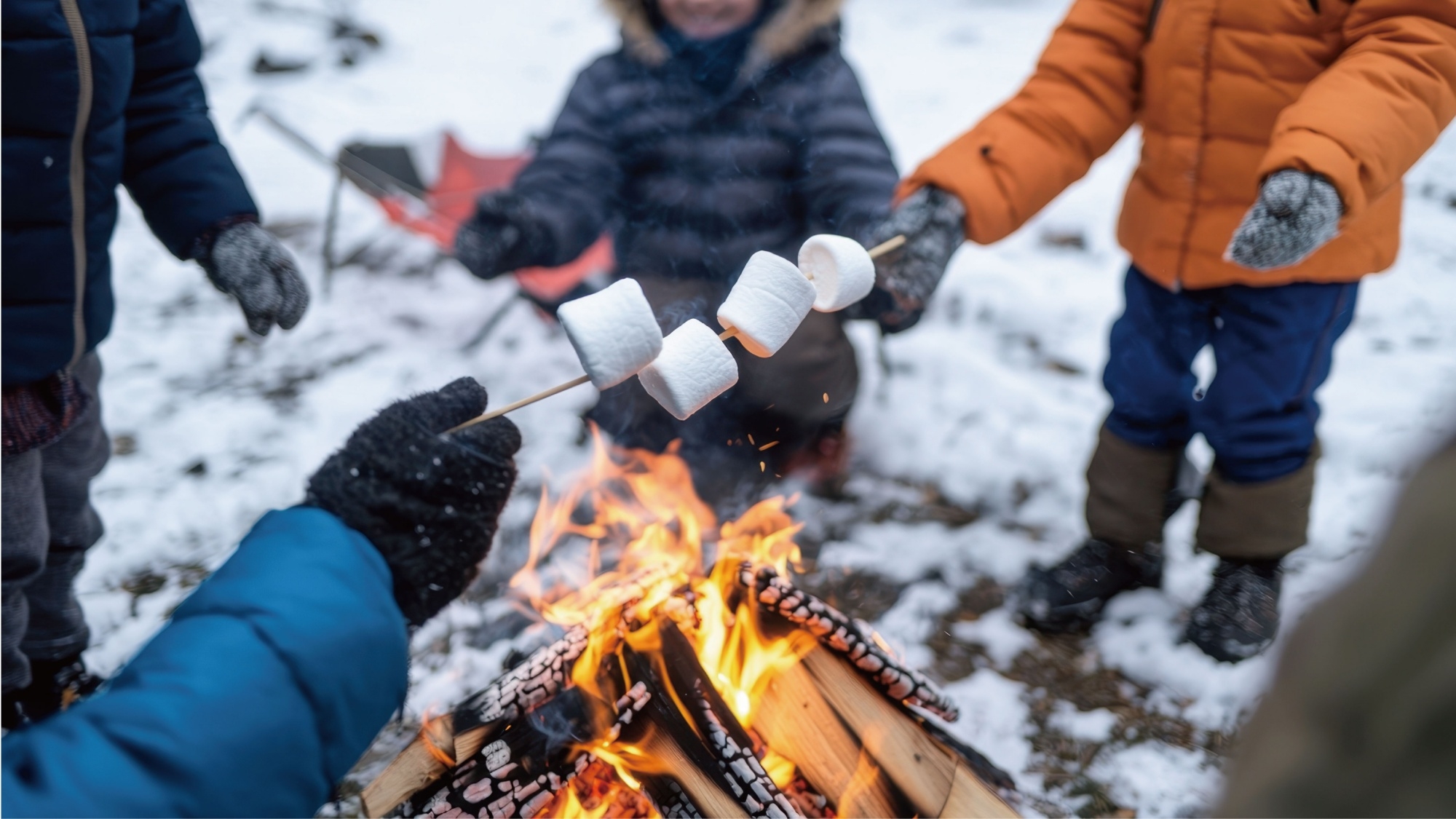 【3月限定×小学生以下宿泊無料×素泊まり】家族で白馬スキー応援プラン
