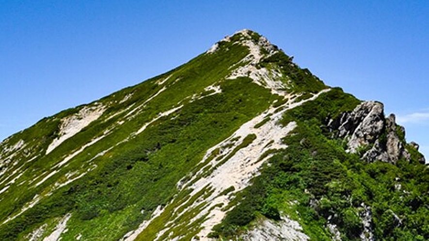 *【周辺観光_唐松岳】北アルプスの入門の山として多くの人達に親しまれています。 