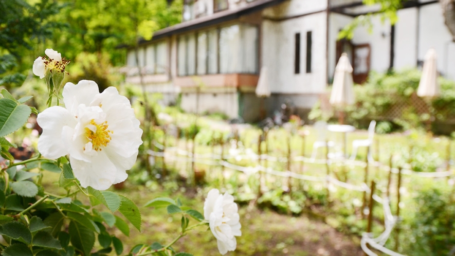 *［ガーデン］6～8月は、多くのお花で彩られます