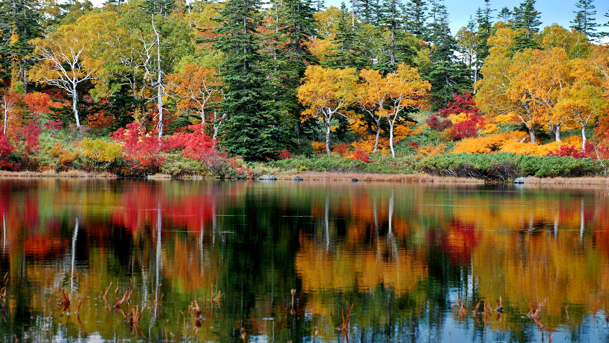 *[ニセコの秋風景]水面に映る紅葉が美しい神仙沼。例年の見頃は10月上旬から中旬頃。
