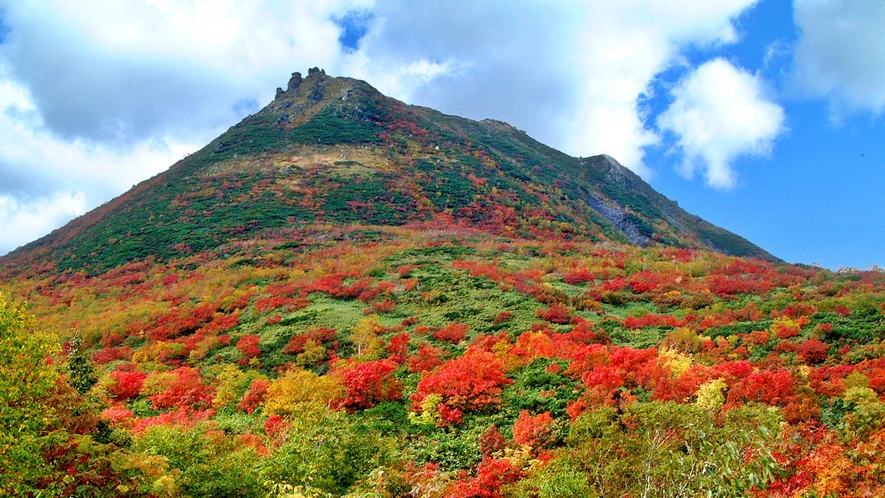 *[ニセコの秋風景]イワオヌプリの紅葉。例年の見頃は9月下旬から10月中旬頃。