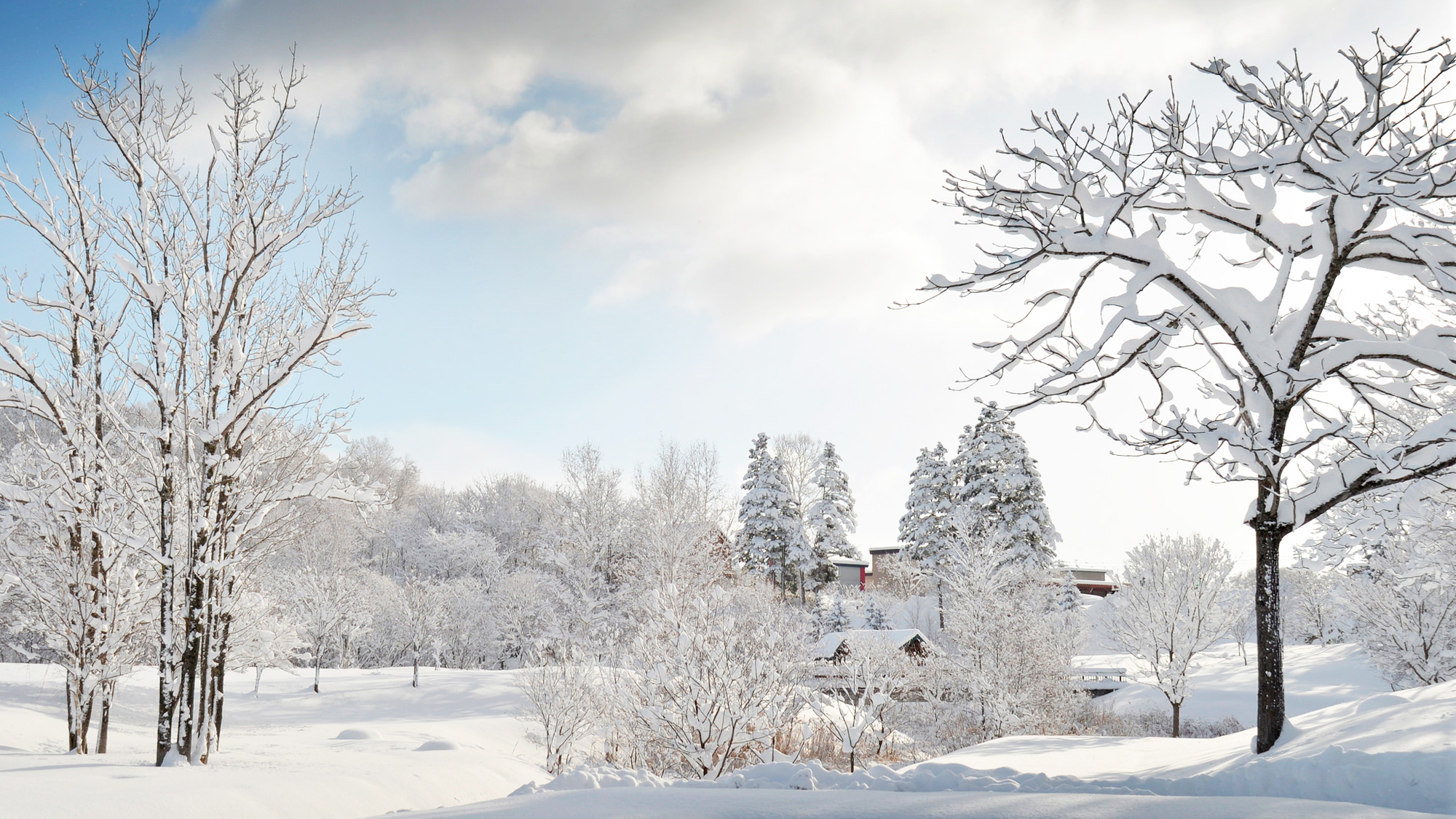 *[ニセコの冬風景]冬の晴れた朝。静かで幻想的な風景が待っています。
