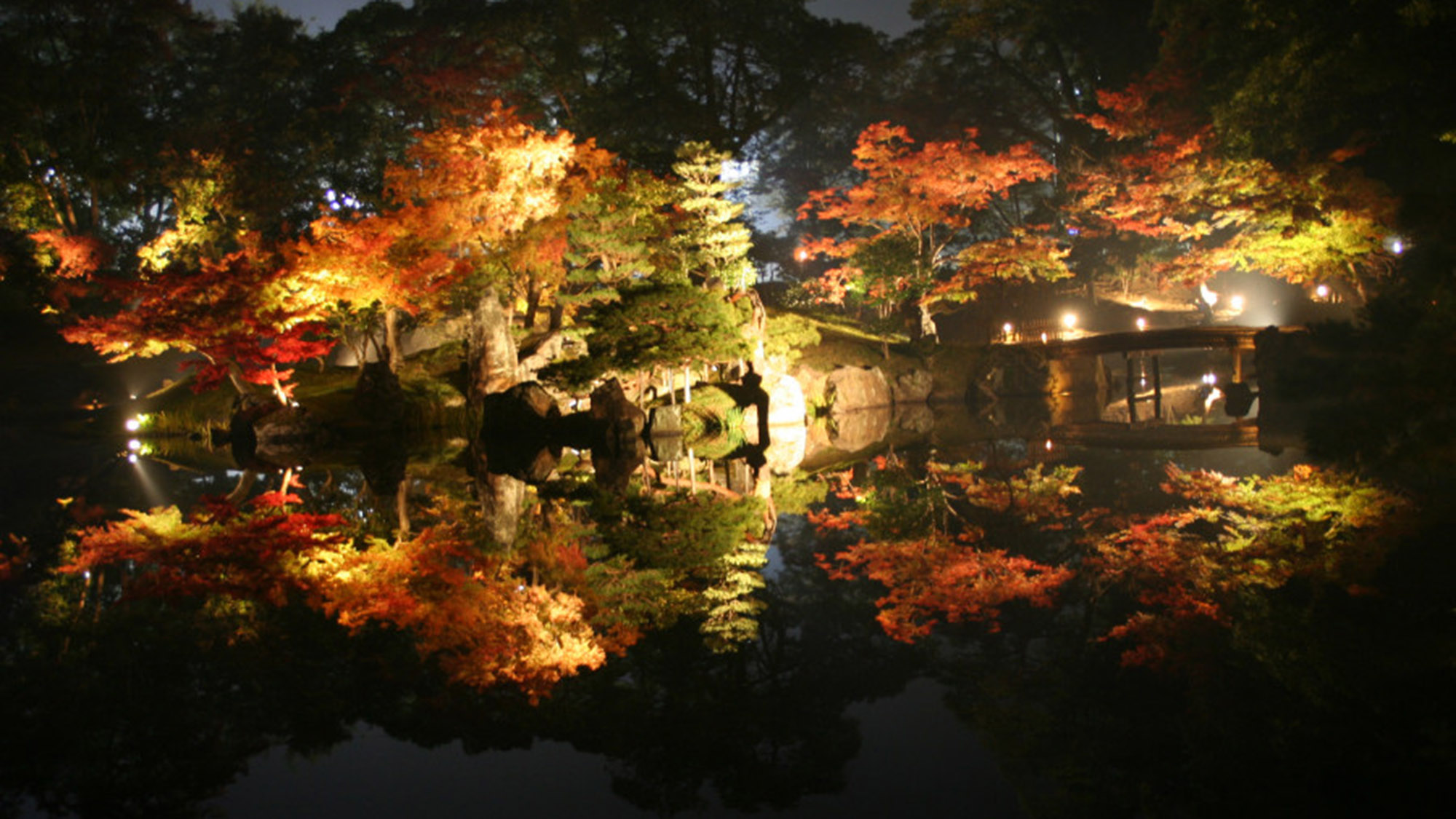 秋_玄宮園夜のライトアップ
