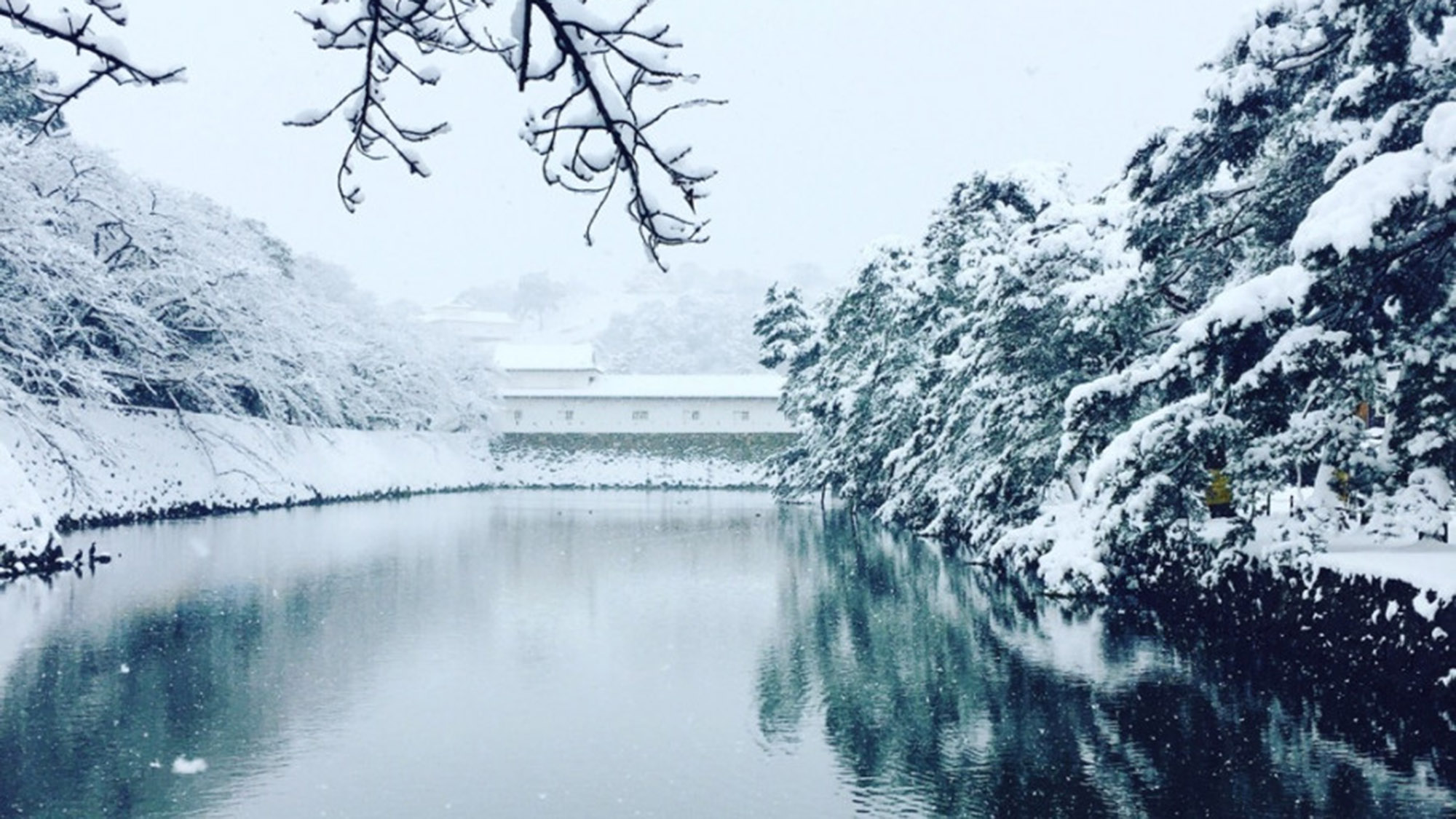 冬_彦根城のお堀