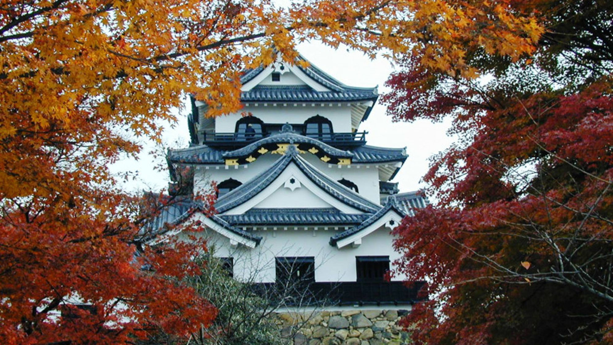 秋_彦根城