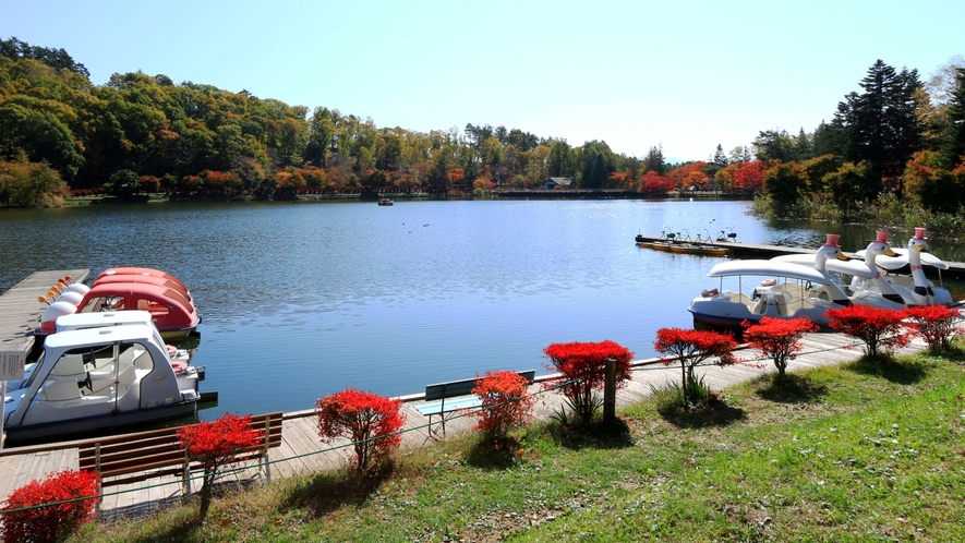 抜けるような青空と真っ赤なドウダンツツジ、穏やかな秋の蓼科湖。