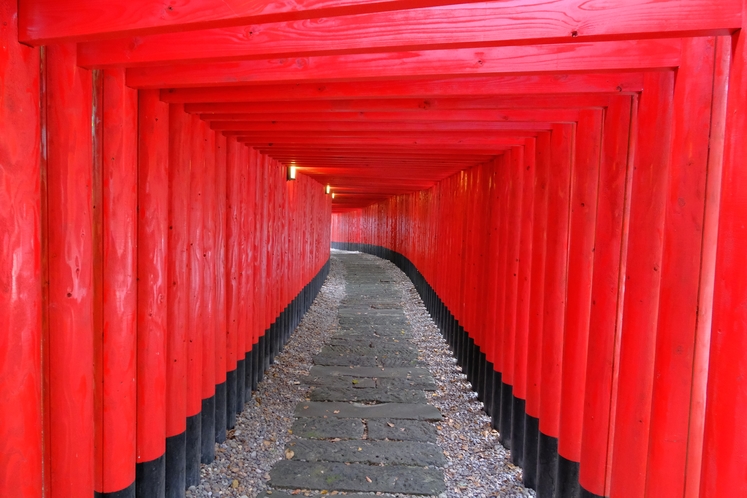 神徳稲荷神社鳥居トンネル