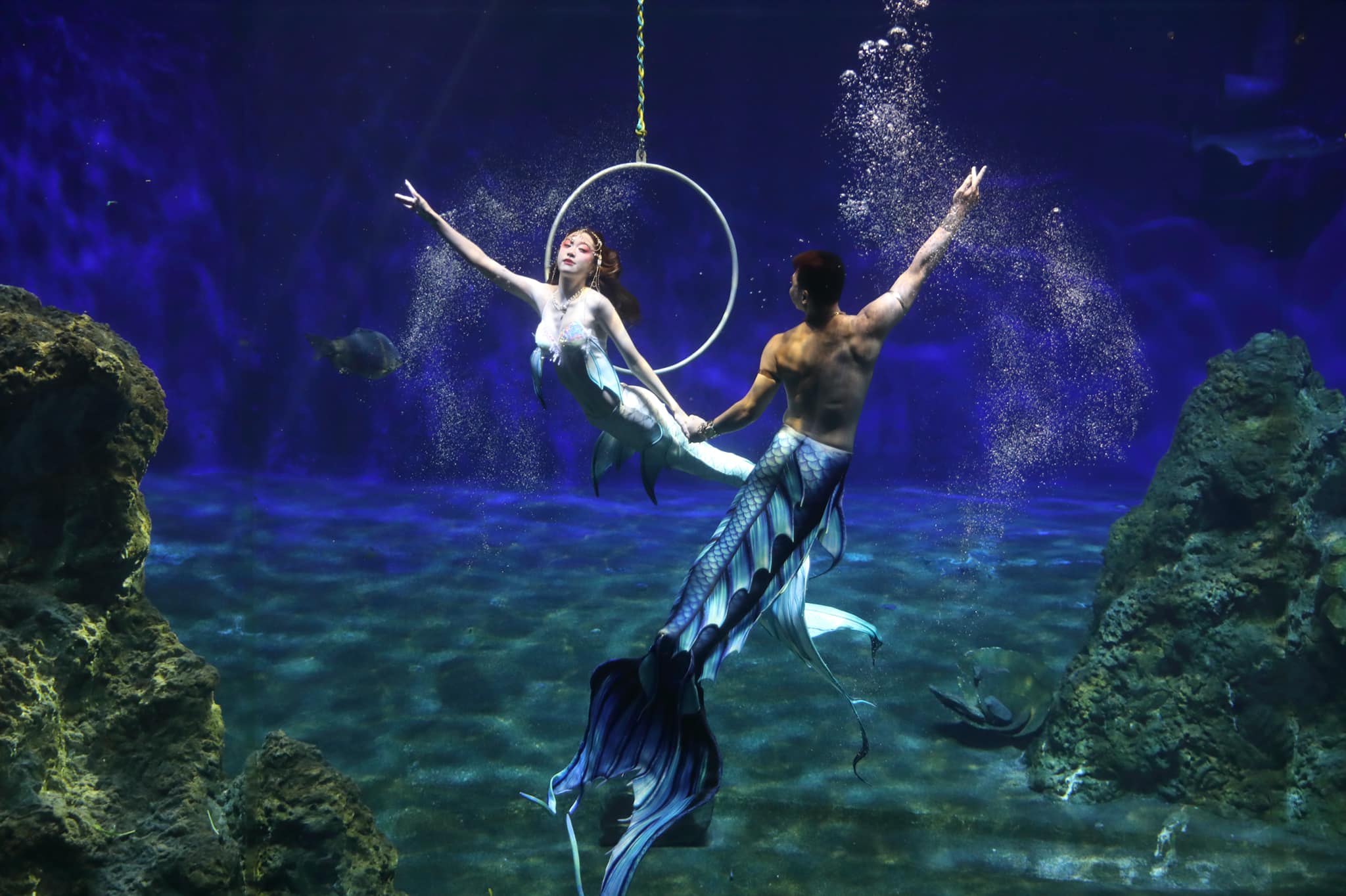 オーシャンパーク（無料シャトルあり）