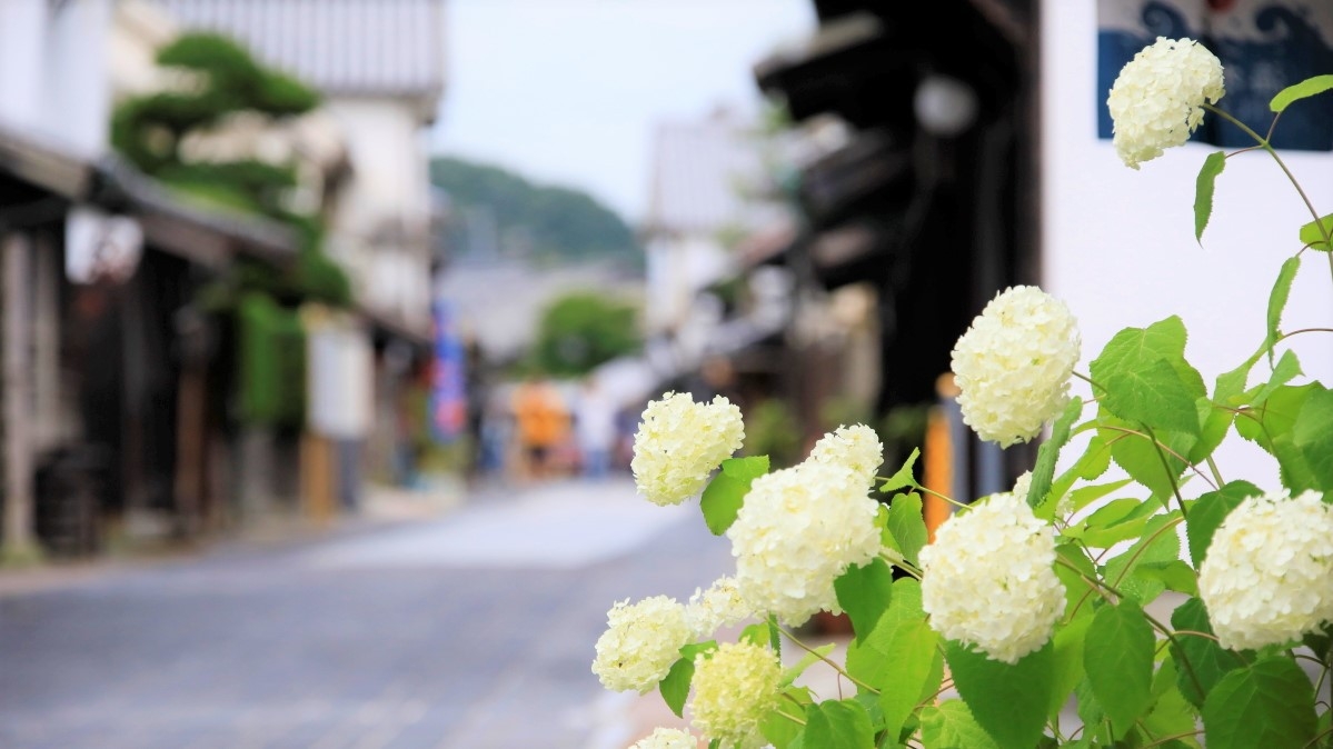 【直前割×基本会席】≪最大3300円オフ≫地元グルメ≪峠下牛≫と旬彩旬魚を愉しむ＜基本会席★安芸＞