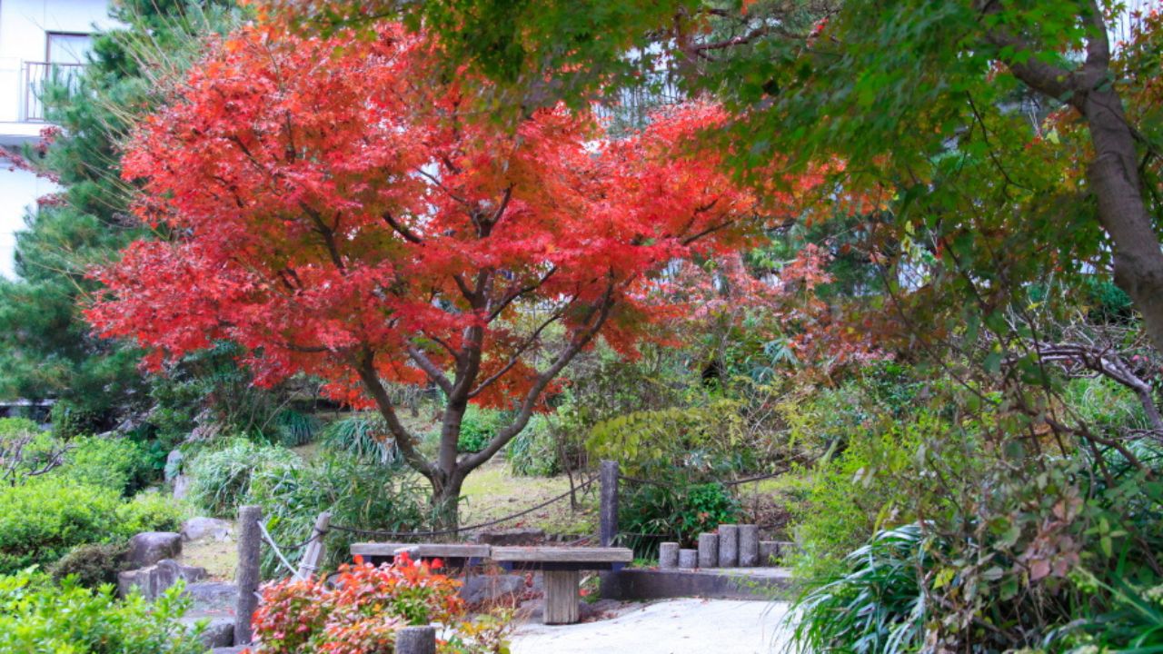 【素泊まり】＜訳あり特価＞希少な放射能冷鉱泉で湯治にも最適◎地酒の飲み比べあり※食事なし