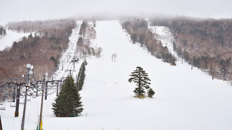 **【一の瀬スキー場】志賀高原の上質な雪で初心者から上級者まで思う存分ウインタースポーツを満喫！