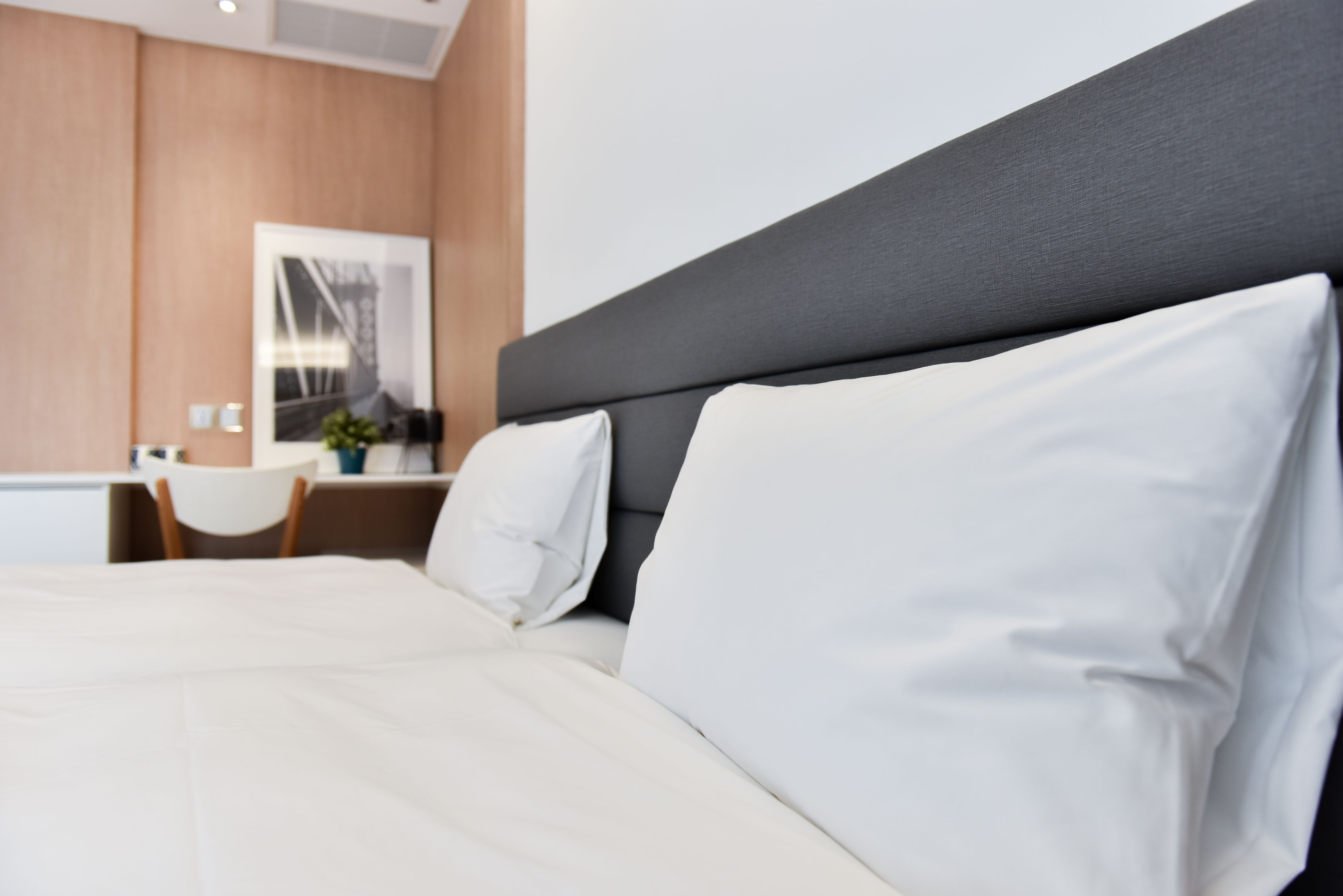 (ct)城市伴侶雙床房