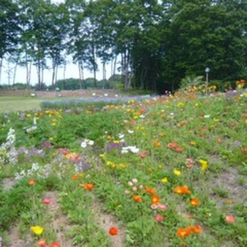 花の回廊