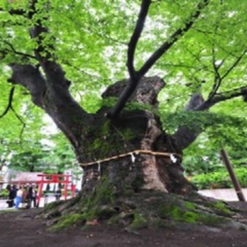 秩父今宮神社