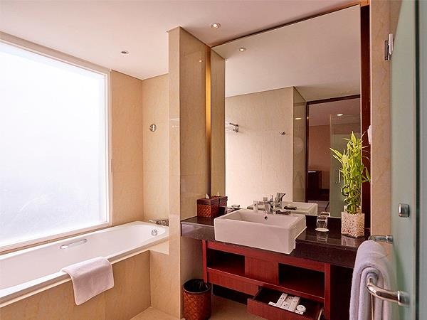 デラックスプランジプール キング又はツイン(32平米)バスルーム一例