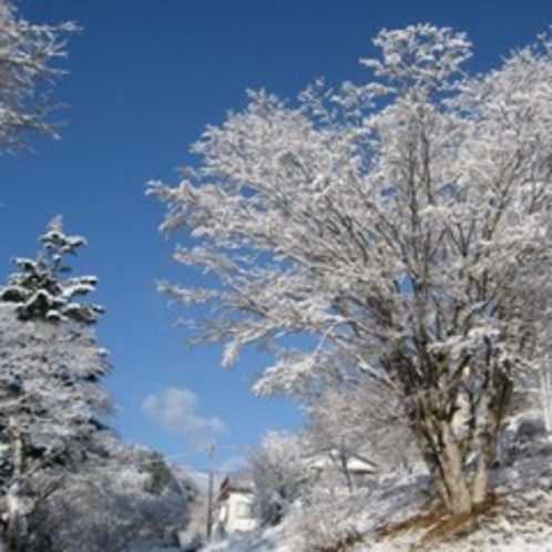 ◆雪景色