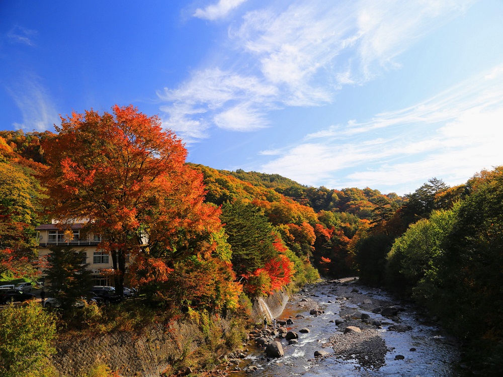 川俣温泉 国民宿舎 渓山荘 宿泊予約 楽天トラベル