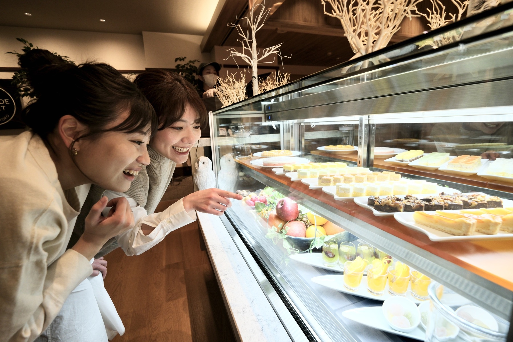 26【事前決済限定／2食付】夕食は知床を体感する「ツリーサイドビュッフェ」で上質なビュッフェ＆グリル