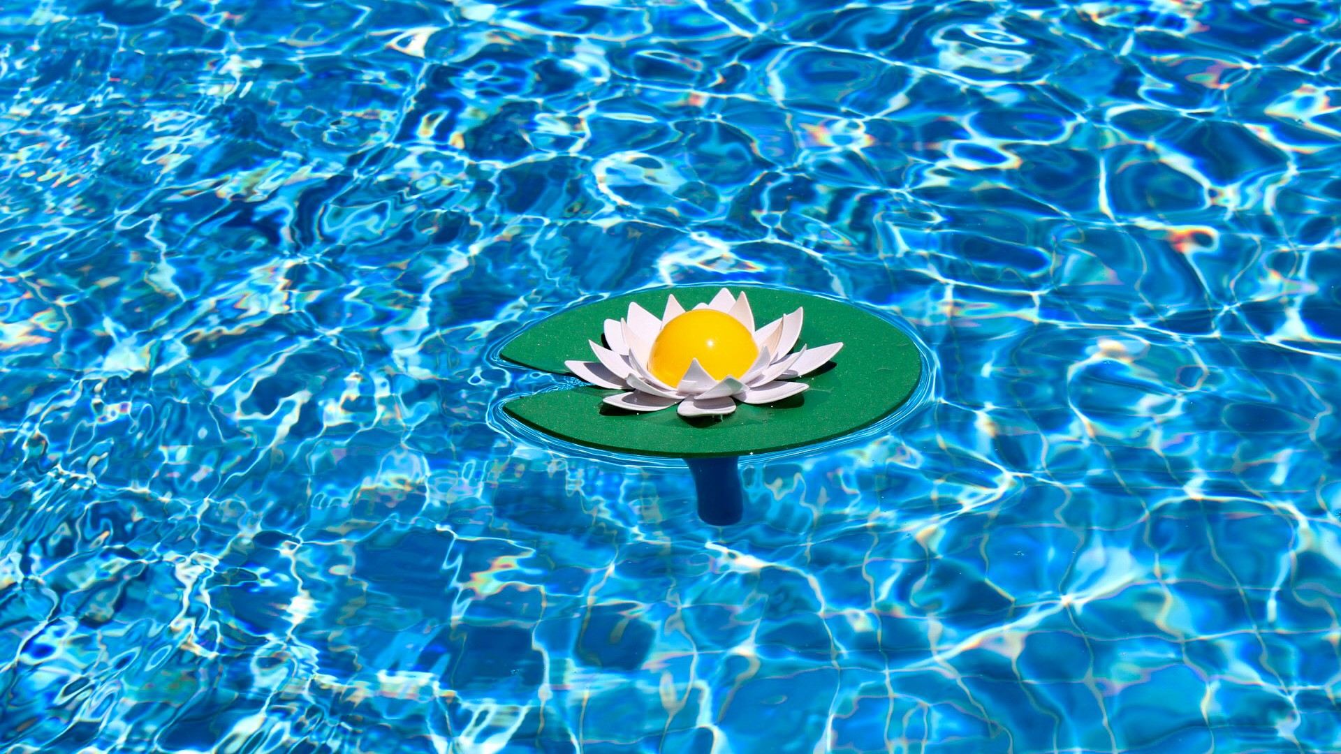 1棟につきそれぞれプライベートプール付き