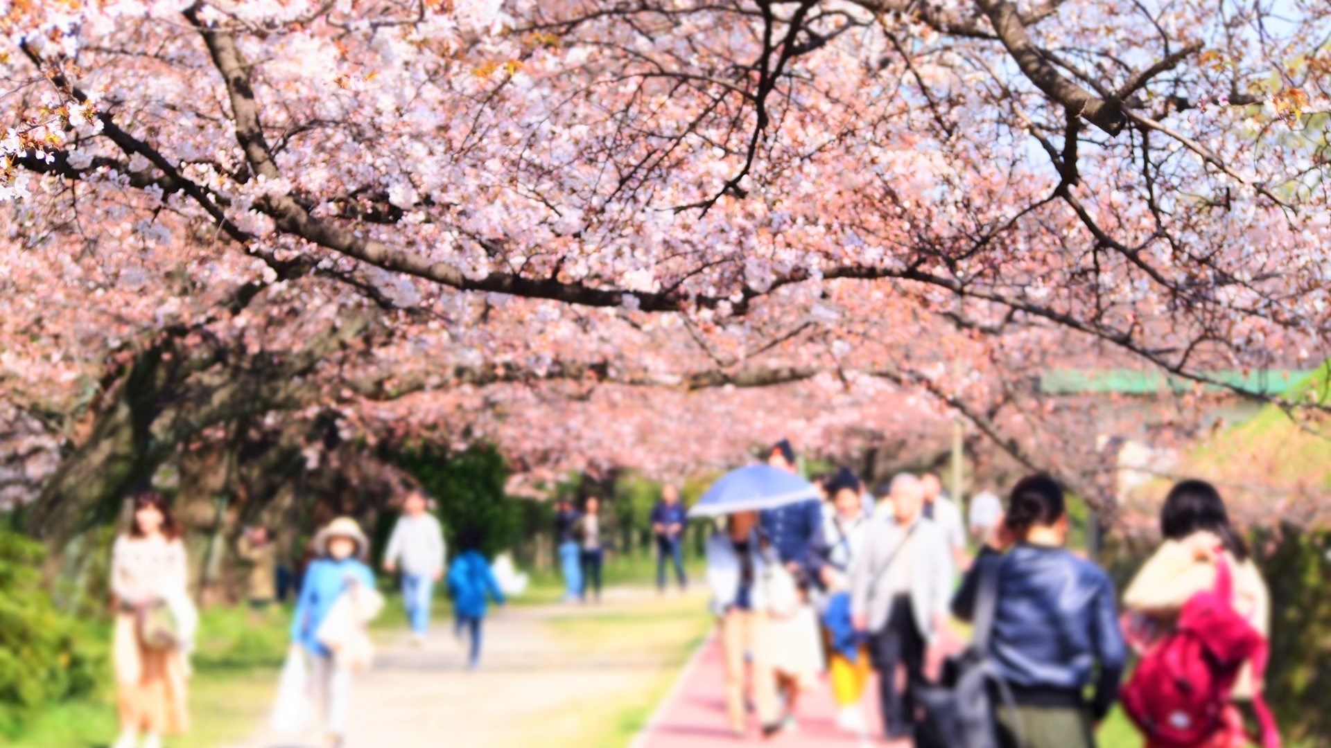 【観光情報】舞鶴公園・大濠公園