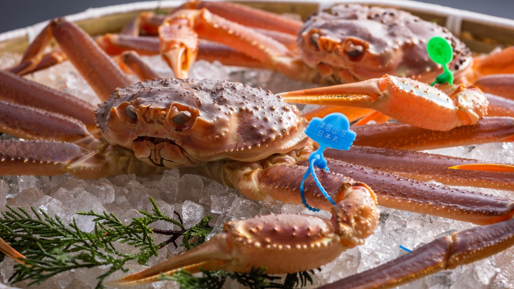 タグ付ブランド蟹＆特選和牛！冬の美食懐石