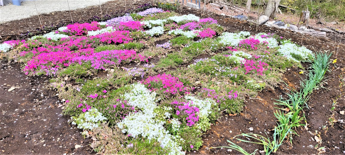 【連泊プラン】広い敷地と、庭に季節の草花の映えるコテージ¨【Ｒ棟】