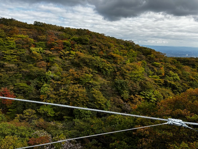つつじ吊り橋からの紅葉