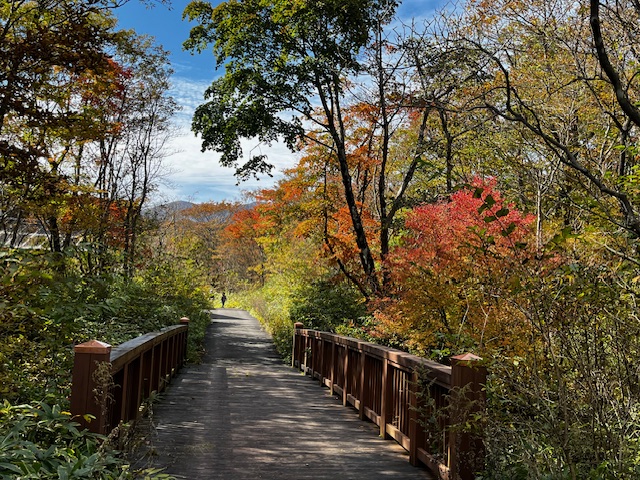 平成の森の紅葉