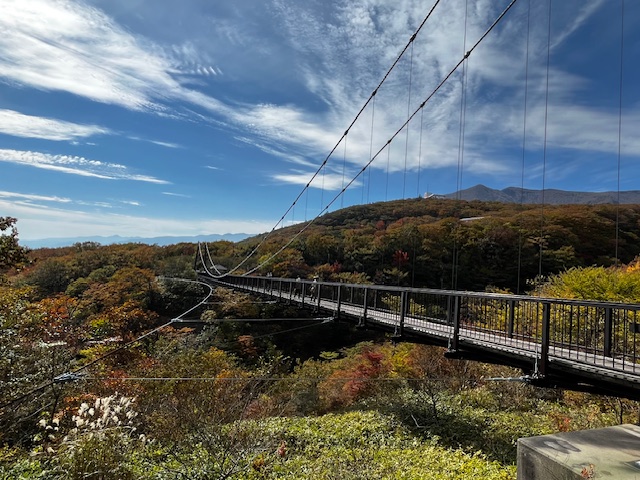 つつじ吊り橋