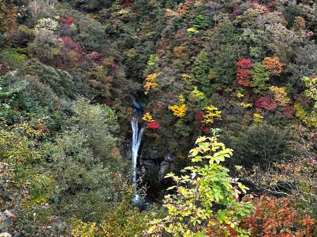 駒止の滝周辺の紅葉