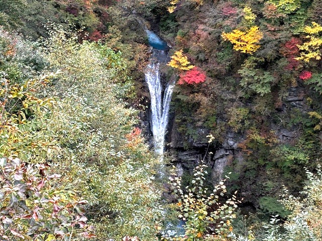 駒止の滝周辺の紅葉