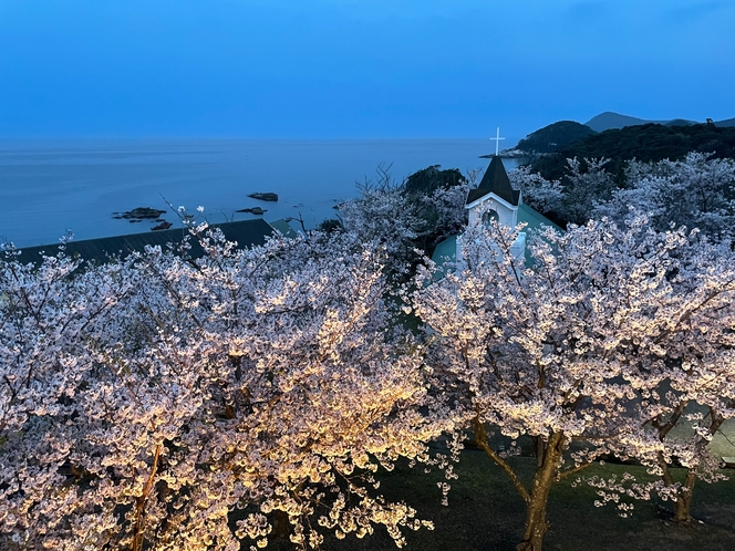 夕方の桜