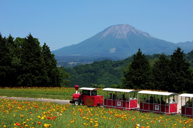 鳥取花回廊から見た大山