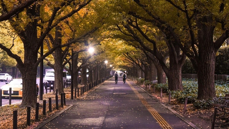 ◆イチョウ並木|11月下旬になると黄金色に輝きます。※当館から徒歩5分