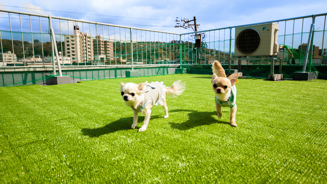 【素泊まり】ひがし茶屋街や近江町市場など金沢の人気の観光地が徒歩圏内！！　観光にとっても便利♪