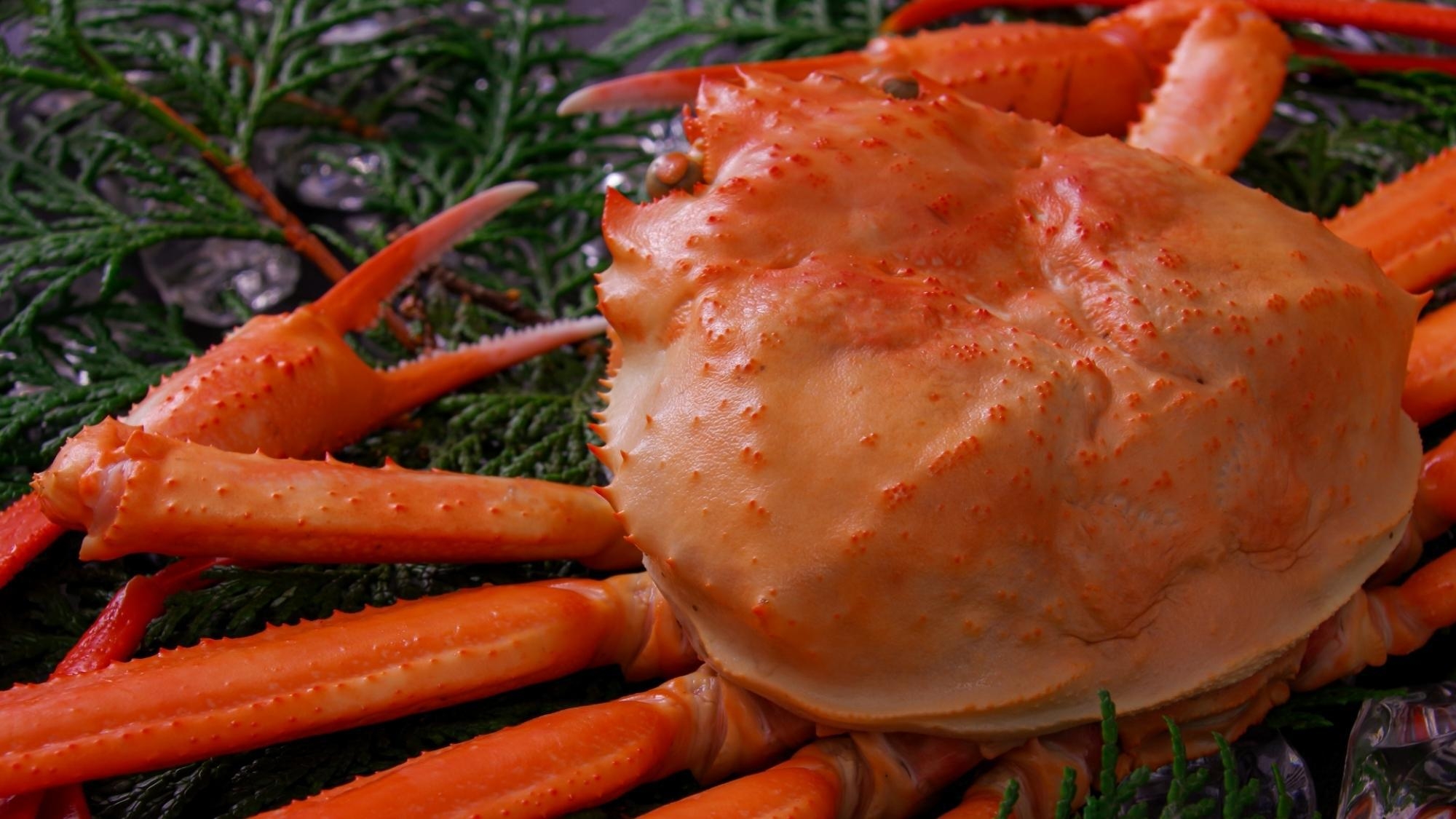 【年末年始プラン】出雲初詣とお正月の味わい◆お正月特別会席とおせちで迎える新年旅