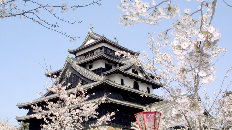 「日本桜の名所100選」にも選ばれた松江城山公園。