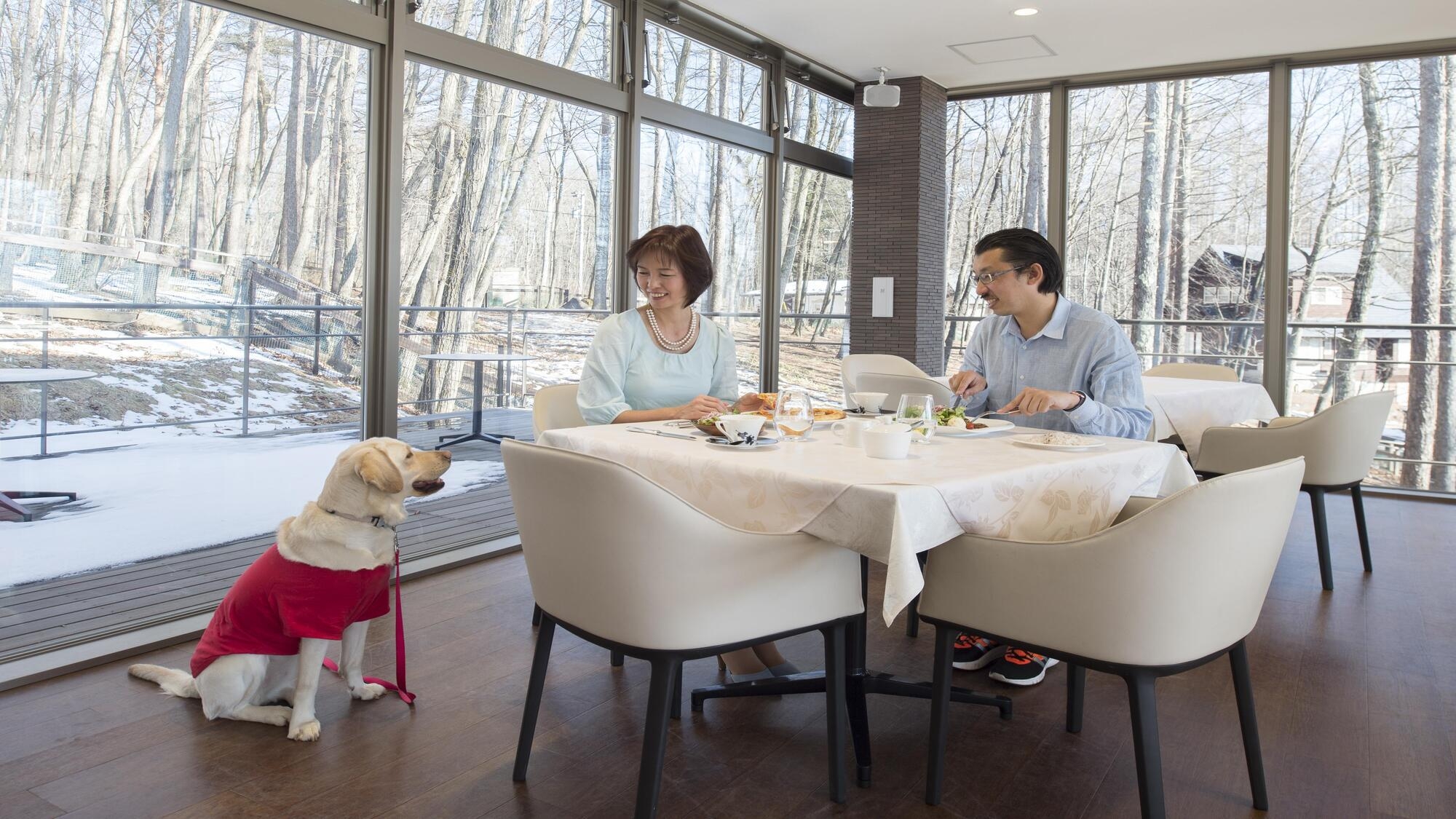 【スタンダードフレンチ】わんパラリブランド記念★黒毛和牛サーロインに無料UP＆愛犬1頭無料特典