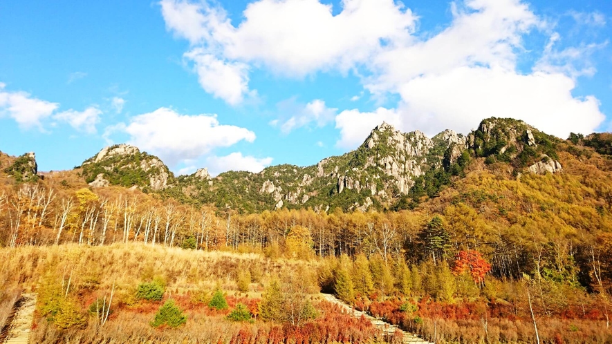 【八ヶ岳エリアの紅葉】みずがき山自然公園