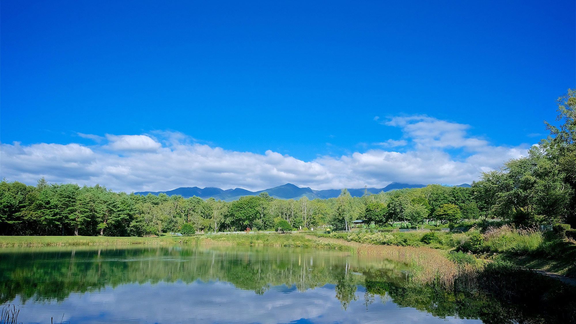 自然文化園