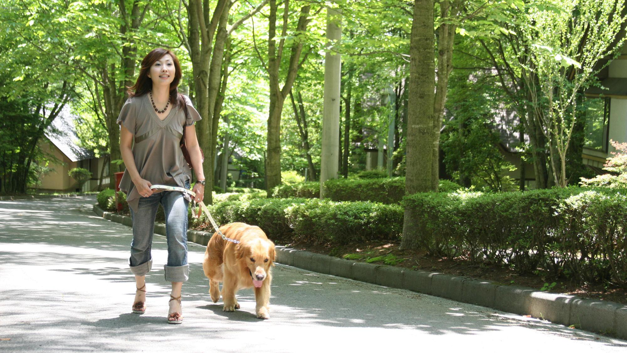 広大な敷地の中で、愛犬と素敵な時間をお楽しみください。