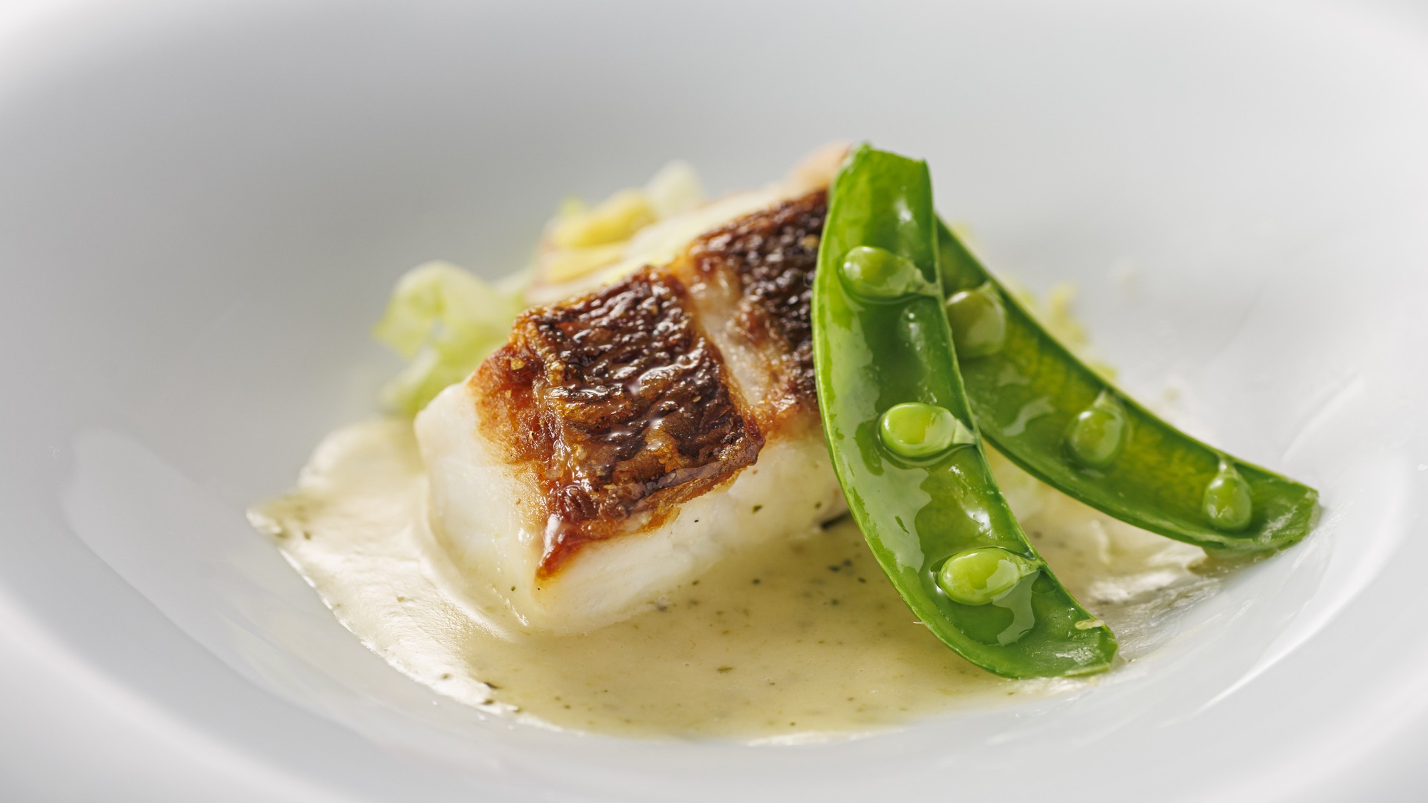 【スタンダードフレンチ(2026春)】真鯛ポワレ