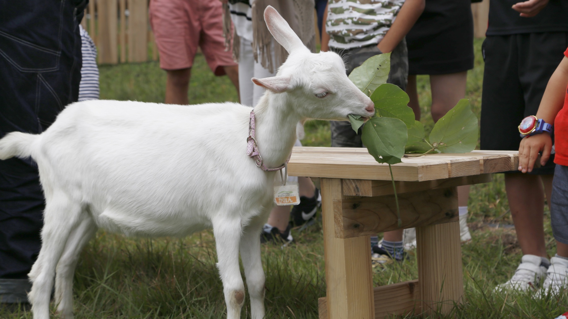 【オンラインカード決済限定】GWは早めの予約でお得！期間限定で割引き（素泊まり）