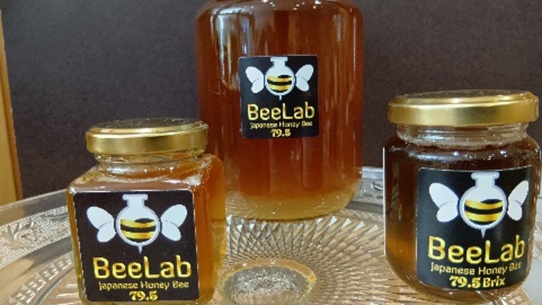 【ログハウスで女子会】神石高原ピオーネワインで乾杯♪金賞チーズセット＆朝食は相馬牧場ヨーグルト付き