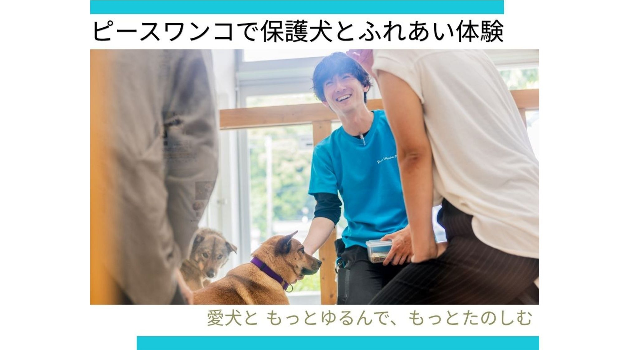 【神石高原ステイ×ピースワンコ】保護犬ってどんなワンコ？とことん愛犬と遊び、保護犬とふれあう！