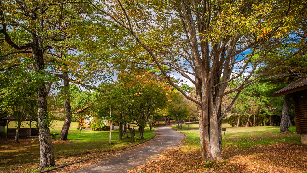 【ペット同宿】愛犬と泊まれる1棟貸切！猫や小動物もOK◎自然豊かな敷地内にドッグランあり（素泊まり）