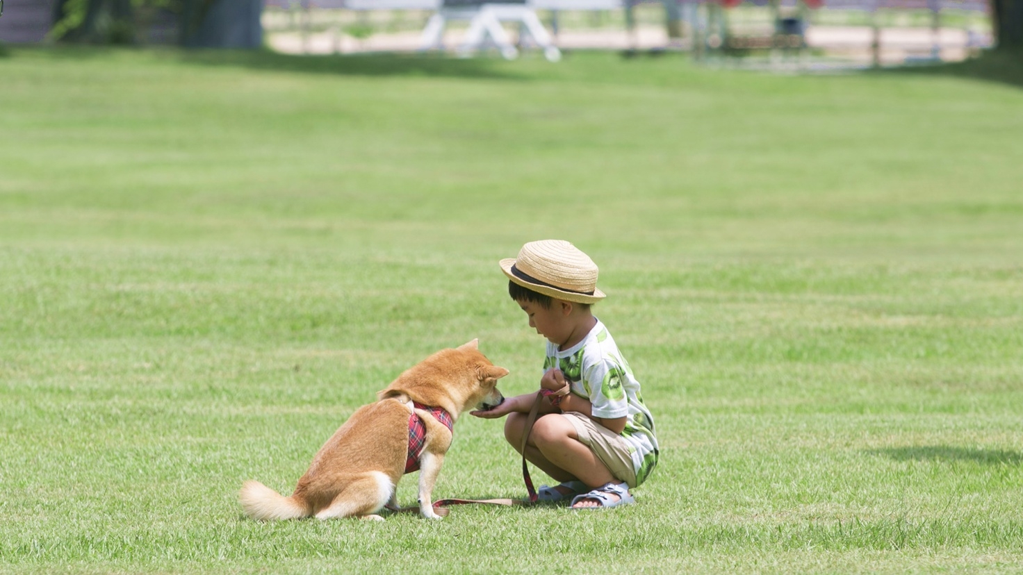 【5％OFF】【楽天スーパーSALE】＜素泊まり＞東京ドーム4つ分♪広い敷地でさまざまな体験！