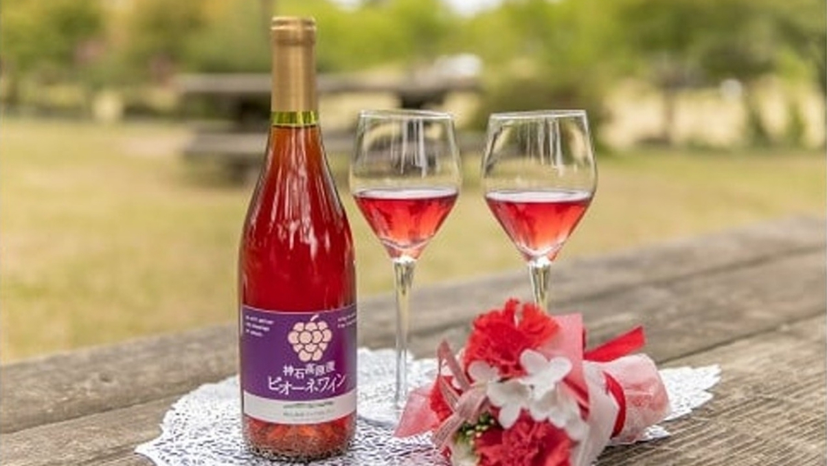 【ログハウスで女子会】神石高原ピオーネワインで乾杯♪金賞チーズセット＆朝食は相馬牧場ヨーグルト付き