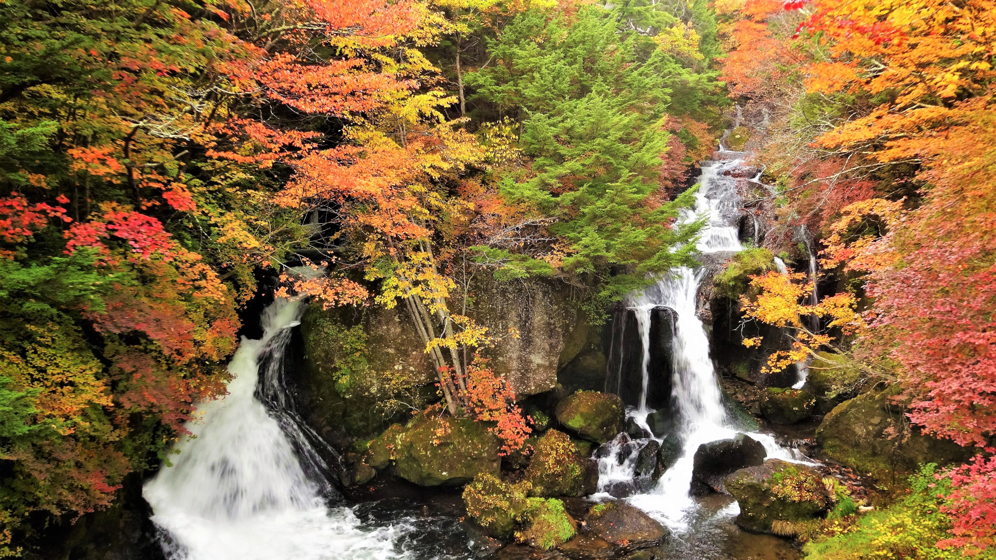 龍頭の滝