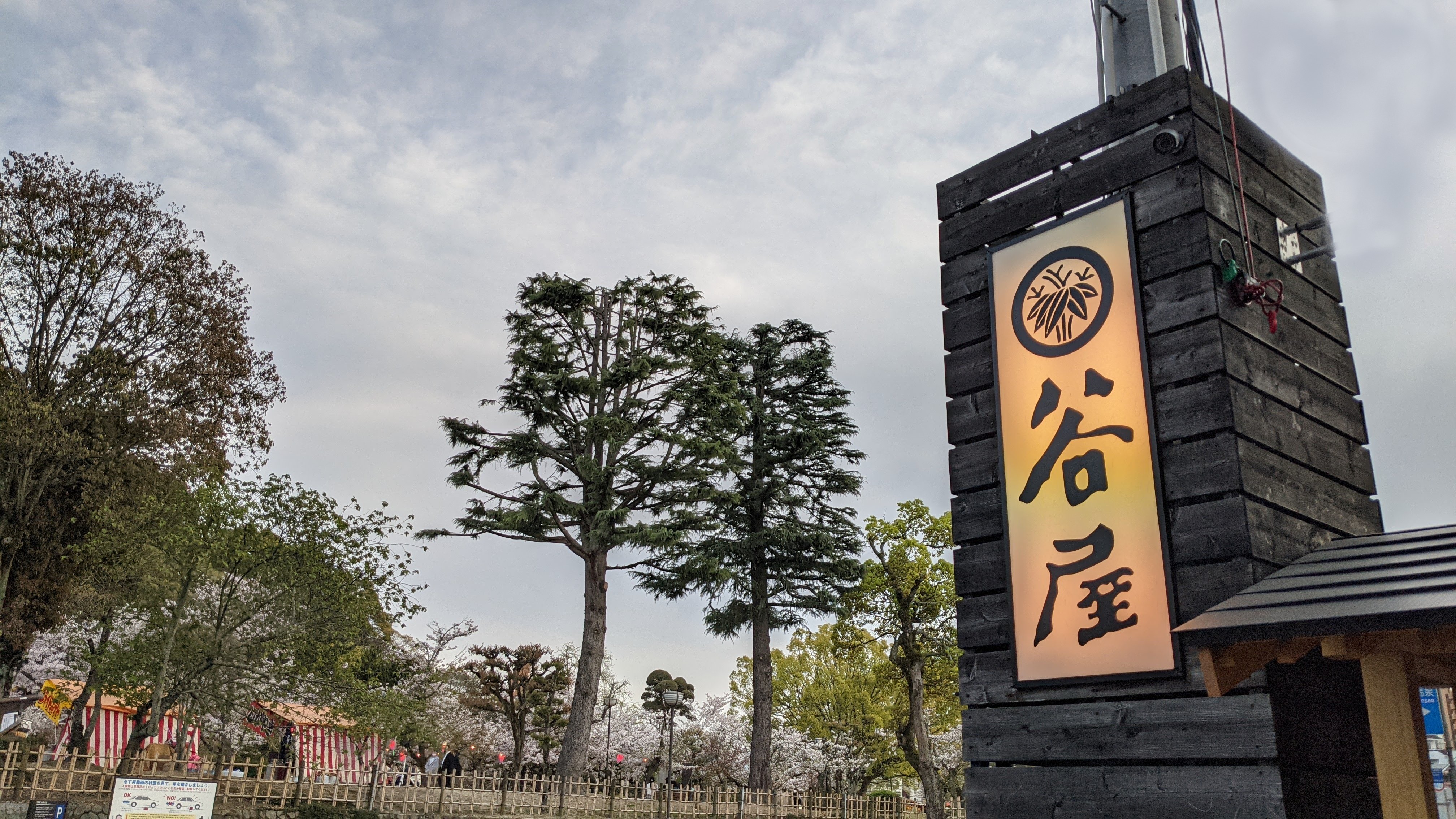 道後公園の花見